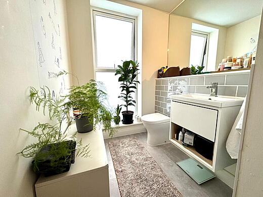 29 Decourcy House - Main bath